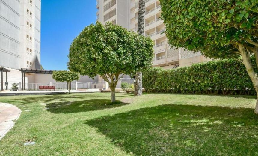 Homeincalpe Apolo XVII 1-14-41 외부 사진